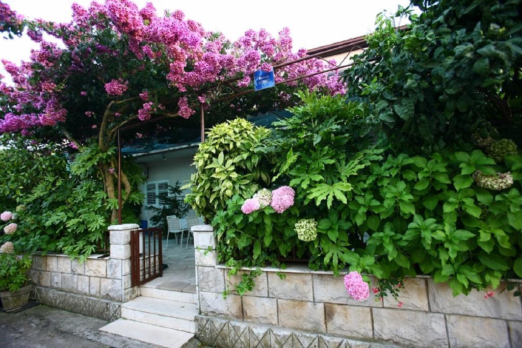 Apartments Indira Lovište Δωμάτιο φωτογραφία